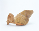FileNo.109-1380.jpg
