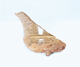 FileNo.109-1399.jpg