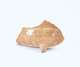 FileNo.109-1403.jpg