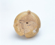 FileNo.109-1412.jpg