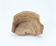 FileNo.109-1421.jpg