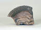 FileNo.109-143.jpg