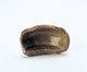 FileNo.109-1439.jpg