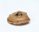 FileNo.109-1457.jpg