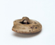 FileNo.109-1458.jpg