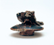 FileNo.109-1466.jpg