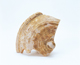 FileNo.109-1477.jpg