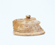 FileNo.109-1478.jpg