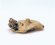 FileNo.109-1492.jpg