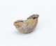 FileNo.109-1496.jpg