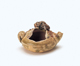 FileNo.109-1504.jpg