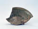 FileNo.109-152.jpg