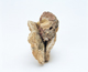 FileNo.109-1520.jpg