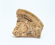 FileNo.109-1534.jpg
