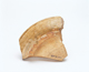 FileNo.109-1536.jpg