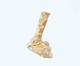FileNo.109-1540.jpg