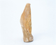 FileNo.109-1545.jpg