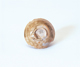 FileNo.109-1552.jpg