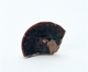 FileNo.109-1574.jpg
