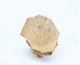 FileNo.109-1579.jpg