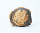 FileNo.109-1584.jpg