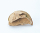 FileNo.109-1587.jpg