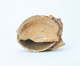 FileNo.109-1588.jpg