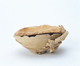 FileNo.109-1589.jpg