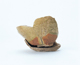 FileNo.109-1592.jpg