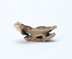 FileNo.109-1595.jpg