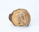 FileNo.109-1598.jpg