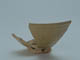 FileNo.109-161.jpg