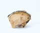 FileNo.109-1612.jpg