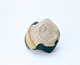 FileNo.109-1613.jpg