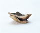 FileNo.109-1615.jpg