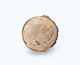 FileNo.109-1618.jpg
