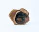 FileNo.109-1634.jpg