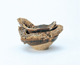 FileNo.109-1636.jpg
