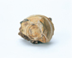 FileNo.109-1680.jpg