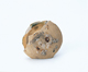 FileNo.109-1698.jpg