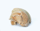 FileNo.109-1705.jpg