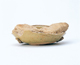 FileNo.109-1706.jpg