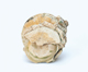 FileNo.109-1715.jpg