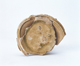 FileNo.109-1722.jpg