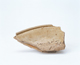 FileNo.109-1752.jpg