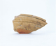 FileNo.109-1753.jpg