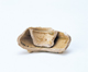 FileNo.109-1759.jpg