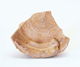 FileNo.109-1760.jpg
