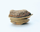 FileNo.109-1791.jpg