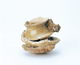 FileNo.109-1793.jpg